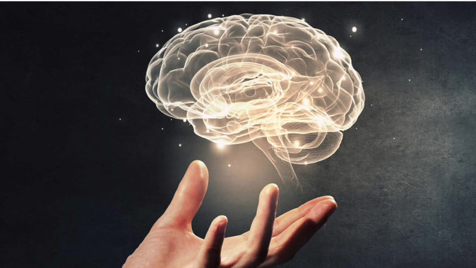 The Brain Molecules of Focus & Motivation